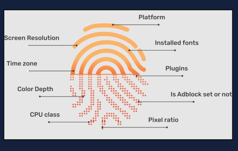 Browser Fingerprint thu thập thông tin gì?