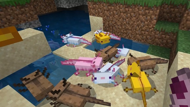 so-huu-axolotl-minecraft-02.jpg