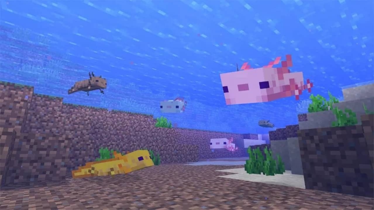 so-huu-axolotl-minecraft-03.jpg