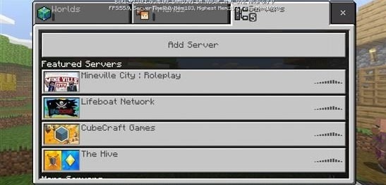 tao-server-minecraft-10.jpg