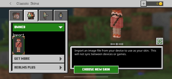 doi-skin-minecraft-03.jpg