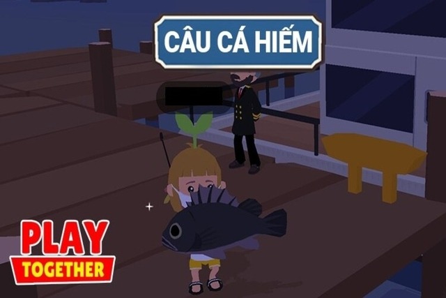 auto-cau-ca-play-together-01.jpg