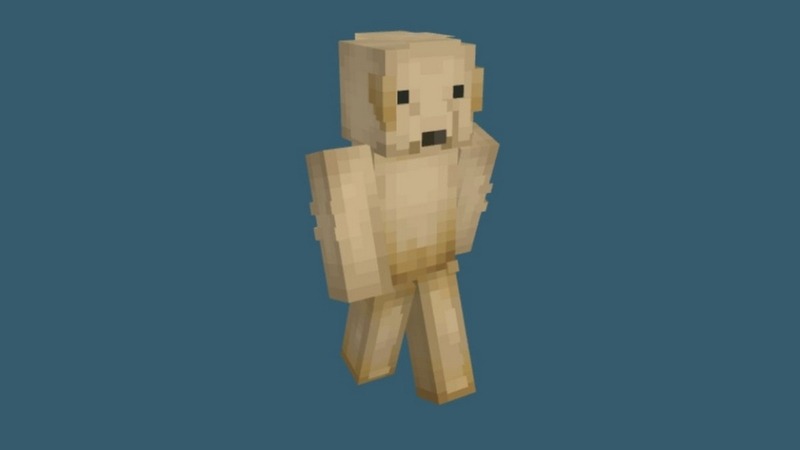 skin-minecraft-meme-02