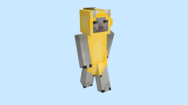 skin-minecraft-meme-18