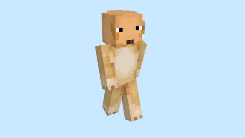 skin-minecraft-meme-19