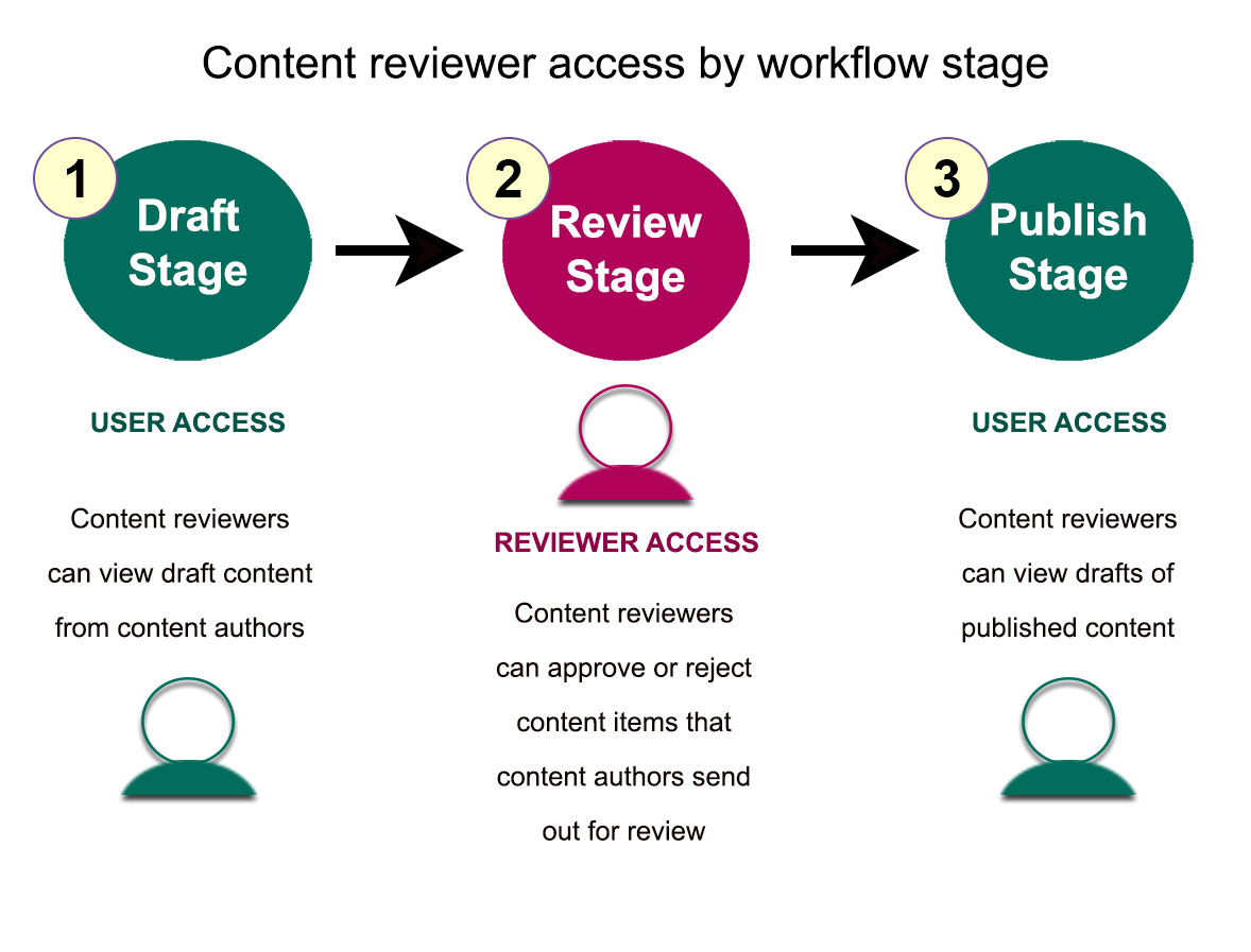 Dịch vụ SEO content kiểm duyệt và xuất bản bài viết