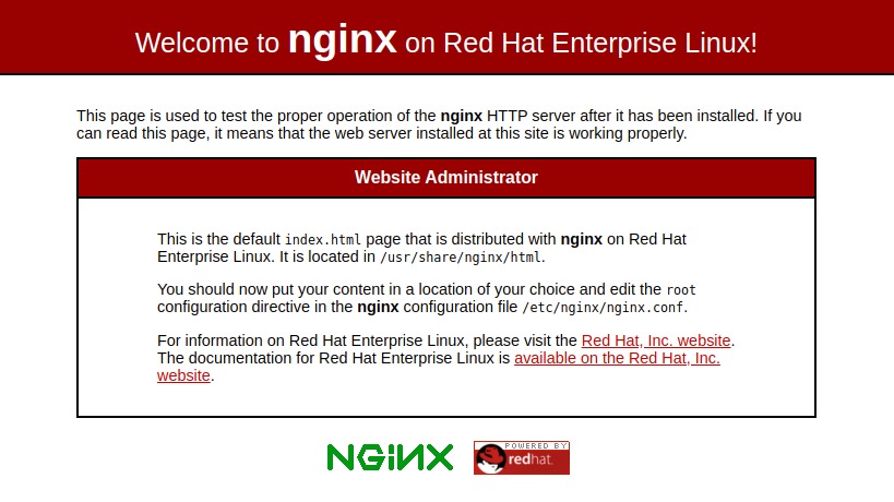 install nginx centos 8