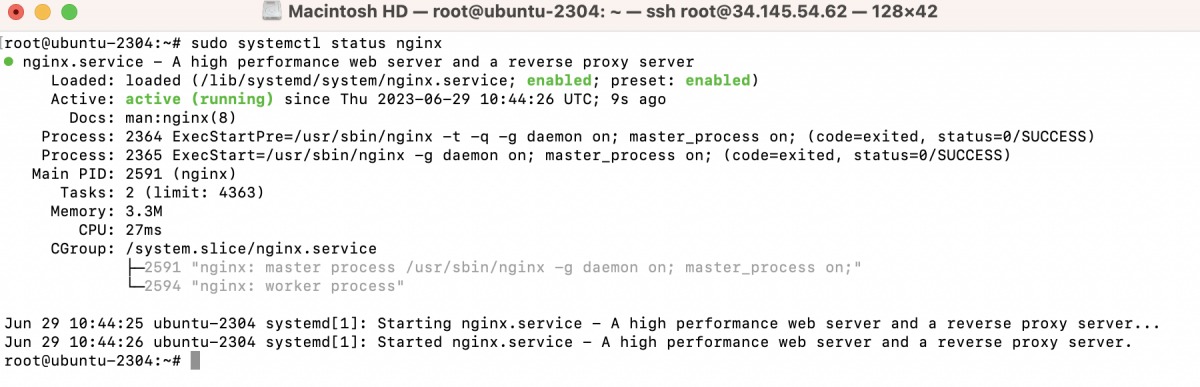 kiểm tra trạng thái nginx