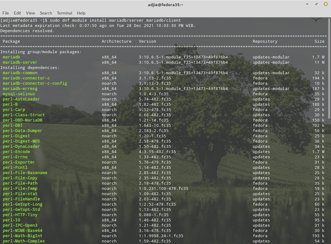 Cài đặt MariaDB 10.6 Fedora 35 - Install MariaDB 10.6 Fedora 35