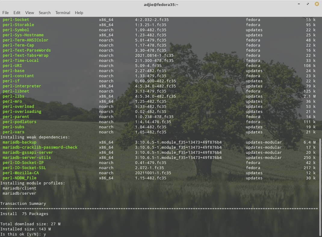 Cài đặt MariaDB 10.6 Fedora 35 - Install MariaDB 10.6 Fedora 35