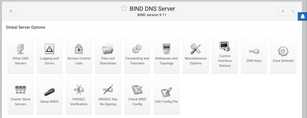 BIND DNS Server