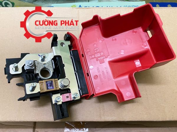 Hình ảnh cực dương bình ắc quy Ford Ranger chính hãng